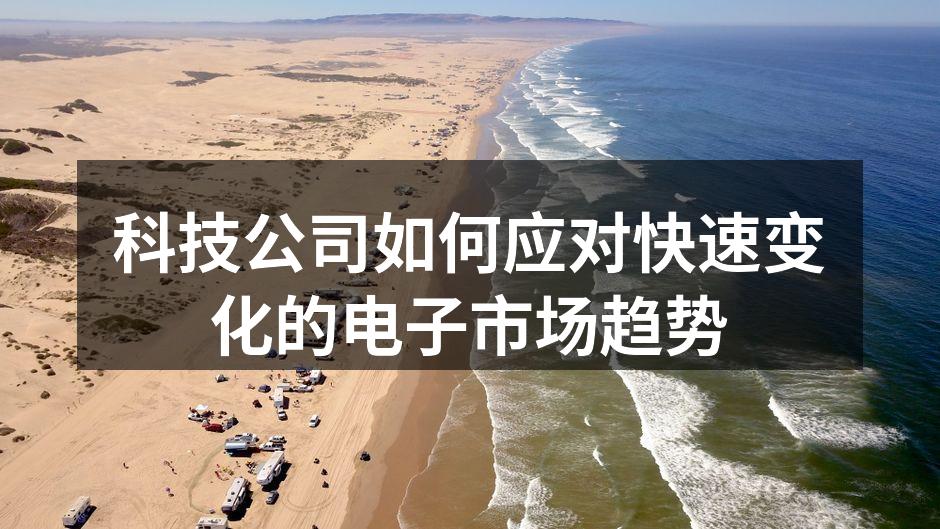 科技公司如何应对快速变化的电子市场趋势